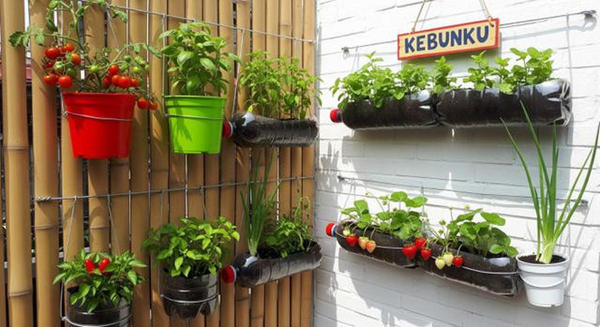 10 Model Kebun Mini untuk Anak-anak Belajar Berkebun di Rumah, Seru dan Edukatif