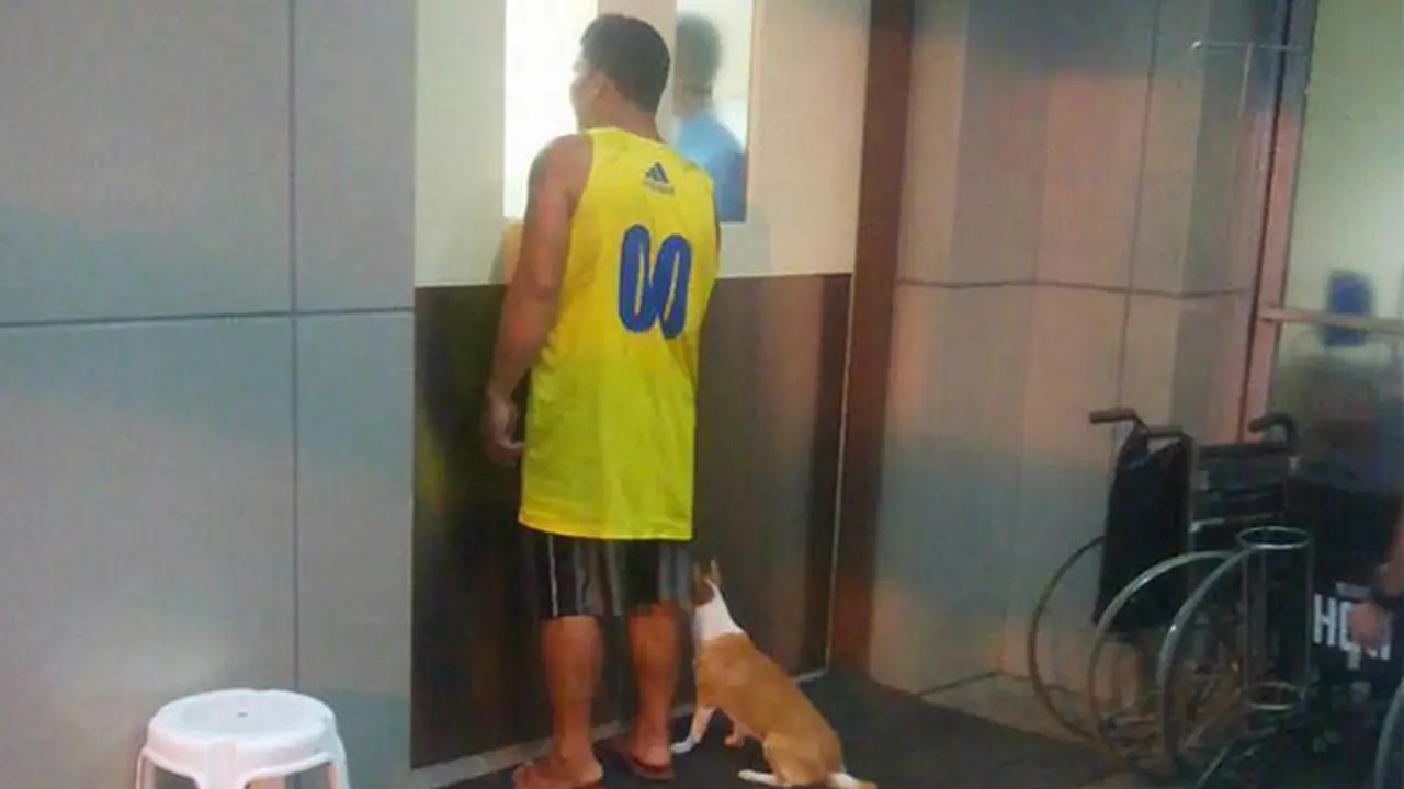 Tunggu Tuannya yang Sekarat, Kisah Anjing Ini Kalahkan Hachiko