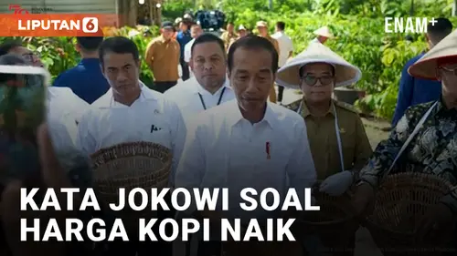 VIDEO: Harga Kopi Terus Naik, Jokowi Minta Mentan Tingkatkan Produktivitas Kopi