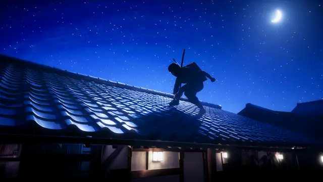 Ninja
