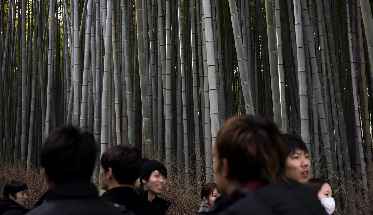 Wisatawan mengunjungi Hutan Bambu Sagano di Arashiyama, Kyoto, Jepang pada 8 Desember 2018. Berada tidak jauh dari pusat kota Kyoto, hutan ini menjulang tinggi di tengah-tengah kota. (Behrouz MEHRI / AFP)