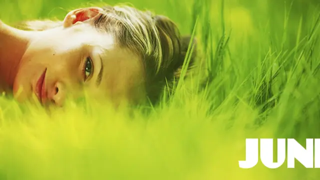 Foto: Copyright  shutterstock