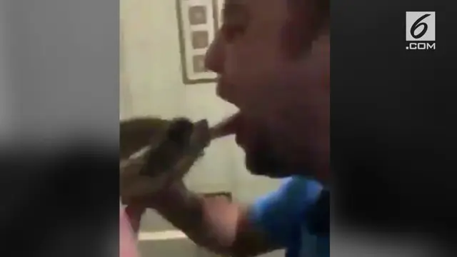 Iseng mencium kura-kura, lidah pria ini malah digigit.