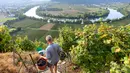 Winegrower Armin Krauth membawa ember dengan anggur selama panen di kebun anggur curam di sepanjang Sungai Neckar di Mundelsheim, Jerman barat daya (2/10/2021). Di lokasi ini juga terdapat enam jalur pendakian hutan, dan jalur pendakian air. (AFP/Thomas Kenzle)