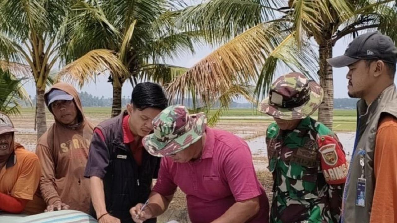 Gencarkan Penyerapan Gabah Petani, Bulog OKU Serap 1.665 Ton di OKU Timur