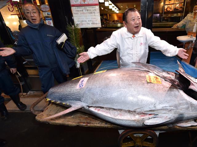 Fantastis Pengusaha Jepang Beli Ikan Tuna Raksasa Seharga Rp25 Miliar Lifestyle Liputan6 Com