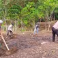 Kanit Sabhara Polsek Marore Bripka D Makaringas dan Bhabinkamtibmas Kampung Marore Brigpol M Sasube bersama warga sekitar mengolah lahan perkebunan tersebut.