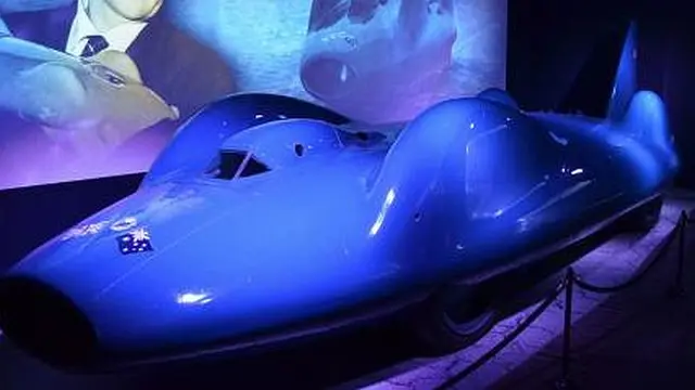 Bluebird CN7