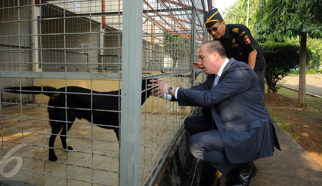 Menteri Imigrasi Australia, Peter Dutton melihat kondisi anjing pelacak di satuan K-9 Dirjen Bea Cukai Jakarta, Kamis (19/11/2015). Kunjungan ini untuk mempererat hubungan pemberantasan peredaran narkoba. (Liputan6.com/Helmi Fithriansyah)