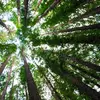 Hari Pelanggan Nasional 2026, Saatnya Konsumen Lebih Cermat Memilih Produk Ramah Hutan
