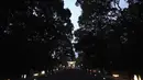 Torii, atau gerbang kuil Kuil Meiji Jingu Shinto dinyalakan untuk menandai peringatan 100 tahun berdirinya di Tokyo, Jumat (30/10/2020). Meiji Jingu, dibangun untuk memberi penghormatan kepada Kaisar Meiji dan Permaisuri Shoken pada tahun 1920 (AP Photo/Eugene Hoshiko)