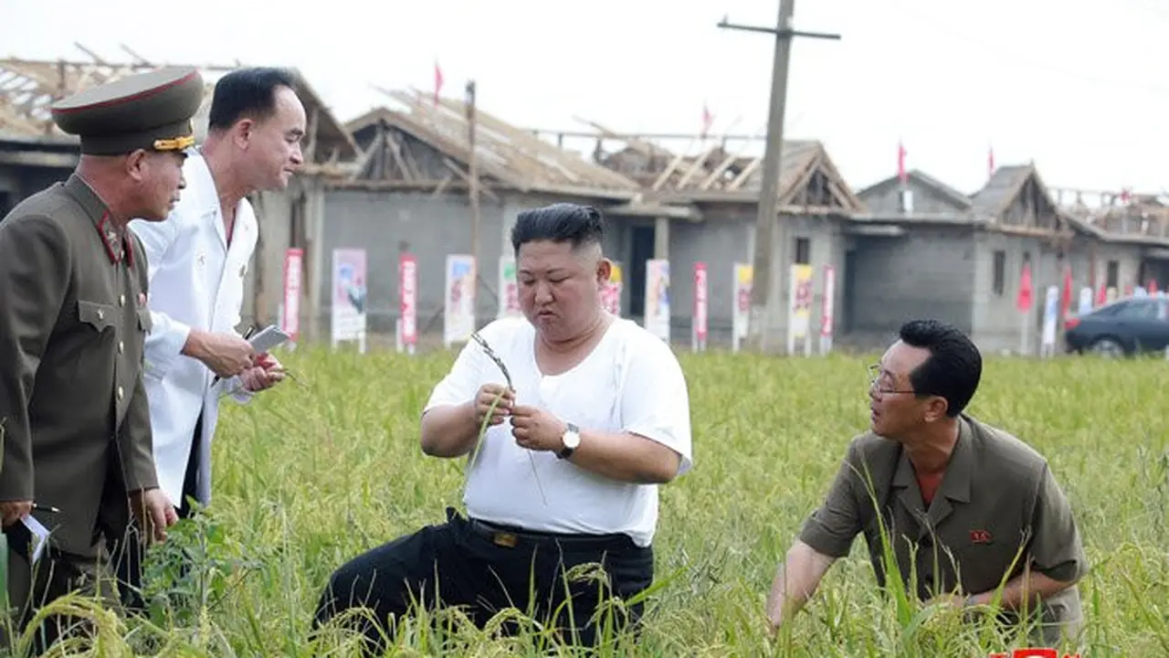 Kim Jong-un blusukan mengecek dampak banjir di Provinsi Hwanghae Utara.