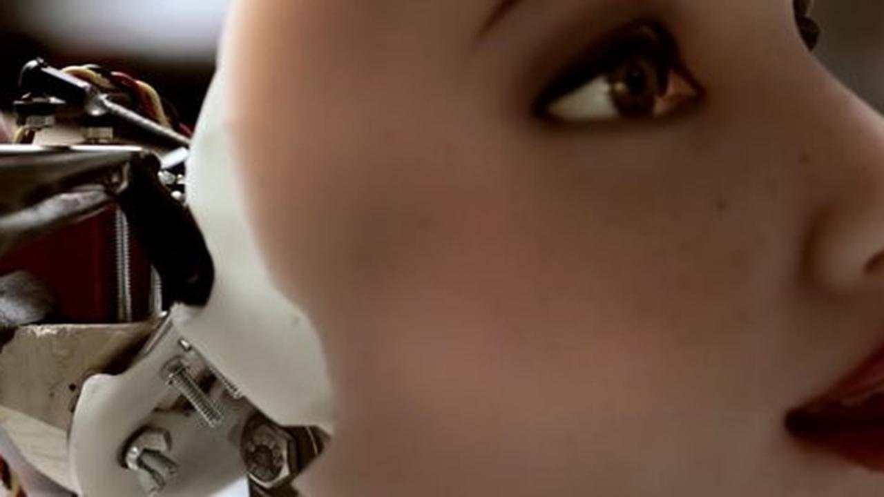 Robot sex bisa diberi kepribadian