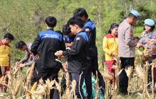 Polres Gumas Libatkan Pelajar SMK dalam Panen Raya Jagung, Pacu Semangat Bertani di Kalimantan Tengah