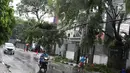 Pengendara menghindari pohon tumbang yang menutupi sebagian jalan di kawasan Cikini, Jakarta, Kamis (22/11). Hujan deras disertai angin kencang  melanda Ibukota pada Kamis (22/11) sore. (Liputan6.com/Immanuel Antonius)