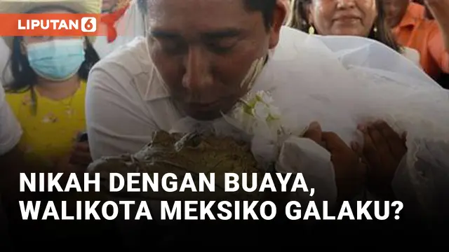 Walikota Meksiko Nikah dengan Buaya Betina