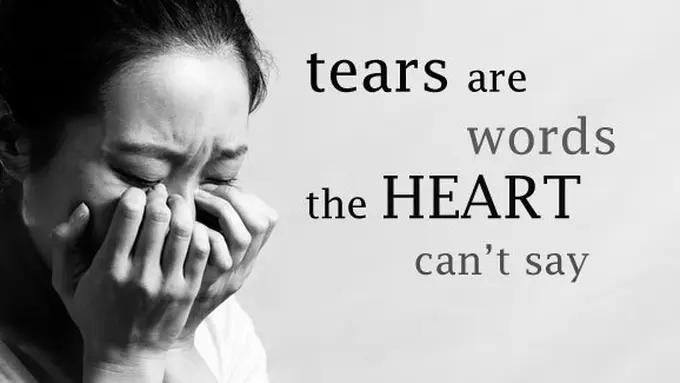 (c) shutterstock.com