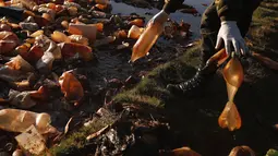 Petugas polisi mengeluarkan botol plastik bekas dari Sungai Tagaret, yang mengalir ke Danau Uru Uru, dekat Oruro, Bolivia, Rabu (7/4/2021). Operasi pembersihan dimulai untuk mengembalikan danau ke keindahan alamnya yang telah dibanjiri sampah plastik dan limbah buatan manusia lainnya. (AP/Juan Kari)