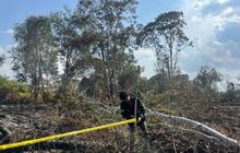 Polres Pelalawan Tetapkan S sebagai Tersangka Pembakar Lahan Hutan untuk Sawit