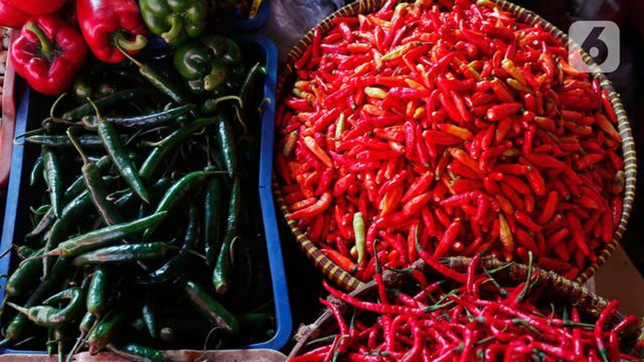 Petani Menjerit, Biaya Produksi Cabai Lebih Mahal dari Harga Jual