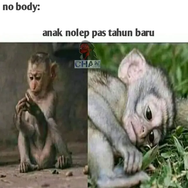 6 Meme Tahun Baru 2020 Ini Bikin Ngakak