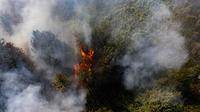 Petugas juga menerbangkan pesawat tanpa awak untuk mengindentifikasi titik panas. (LUIS ACOSTA/AFP)