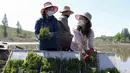 <p>Petani menanam padi menggunakan penanam bibit padi di Chongsan Cooperative Farm, Distrik Kangso, Nampho, Korea Utara, 9 Mei 2022. (AP Photo/Jon Chol Jin)</p>