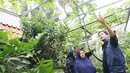 Anggota Komunitas Anggur Jakarta (KAJ) mendengarkan penjelasan saat kegiatan Akademi Urban Farming di Arga Urban Farming Kawasan Pancoran, Jakarta, Selasa (16/5/2023). (Liputan6.com/Herman Zakharia)