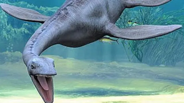 Monster Loch Ness 4