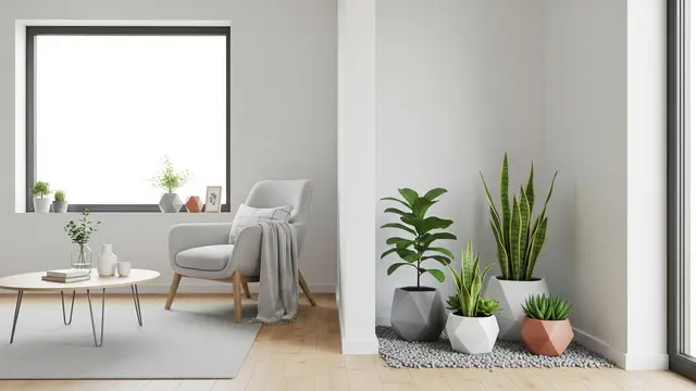 Model Rumah Kecil dengan Taman Mini dalam Rumah