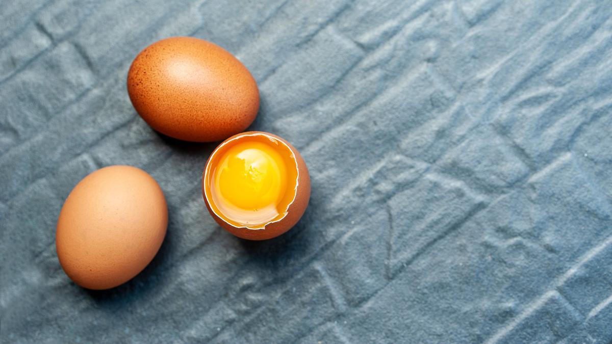 Bukan Cuma Dadar dan Ceplok, Ini Ide Lauk Telur yang Wajib Dicoba