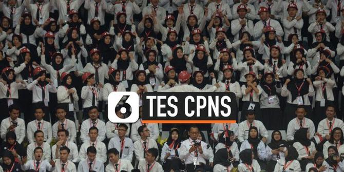 VIDEO: Pendaftar CPNS Tembus 3,3 Juta, Ini yang Paling Diminat