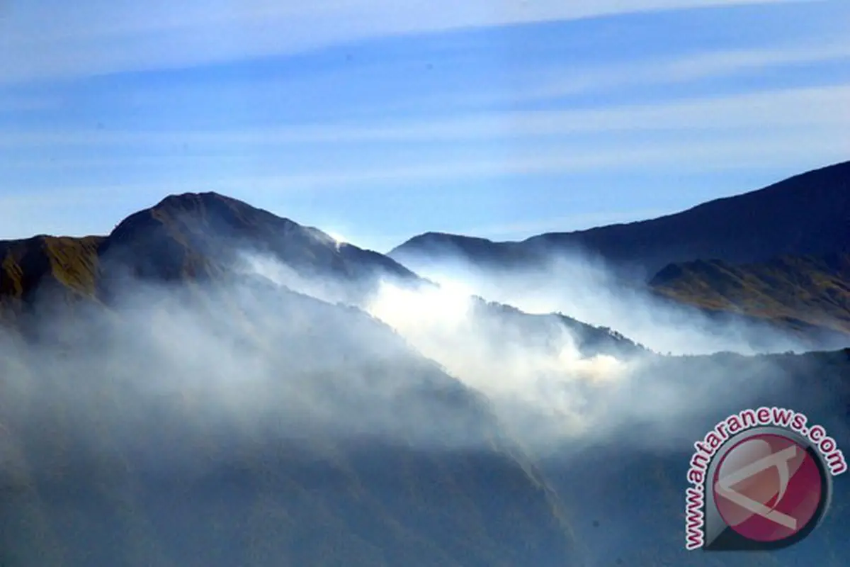 Kebakaran di Kawasan Hutan Rinjani Mencapai 50 Hektar