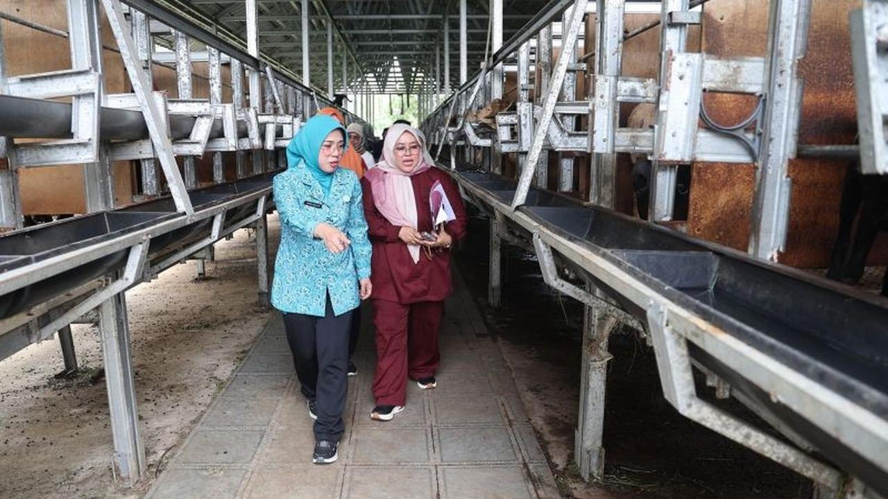 PKK Banten Ajak Keluarga Adaptasi Sistem Pertanian Terpadu Sitandu untuk Ketahanan Pangan