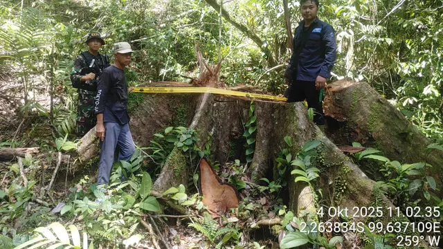 MORATORIUM TATA USAHA KAYU UNTUK PHAT, HENTIKAN MODUS PENCUCIAN KAYU ILEGAL KEJAHATAN ILLEGAL LOGGING (dok. KEMENTERIAN KEHUTANAN DIREKTORAT JENDERAL PENEGAKAN HUKUM KEHUTANAN)