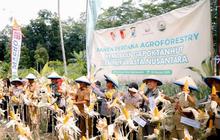Mekar Asta Nusantara Dorong Pertanian Agroforestri Berkelanjutan, Tingkatkan Ekonomi Petani Jagung Jember