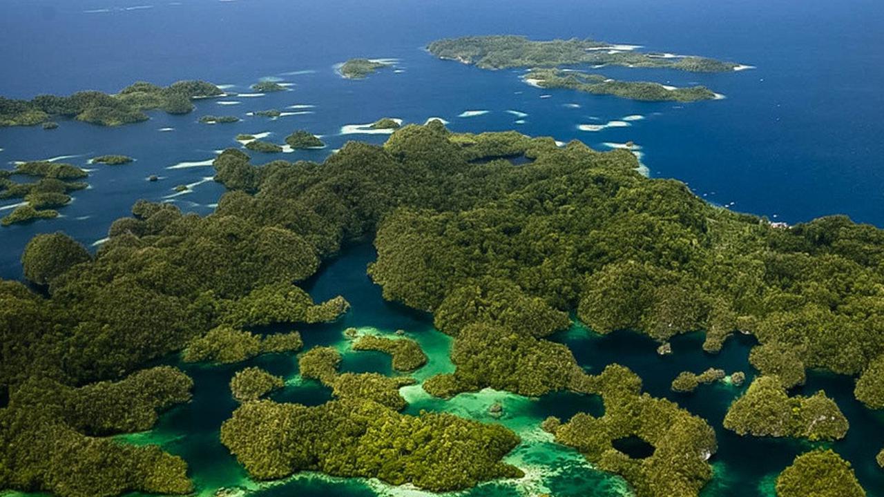 5 Bukti Keindahan Raja Ampat yang Memukau dan Menakjubkan, Bak Surga Dunia