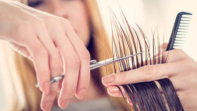 Potong Rambut secara rutin (MilanMarkovic78/Shutterstock)