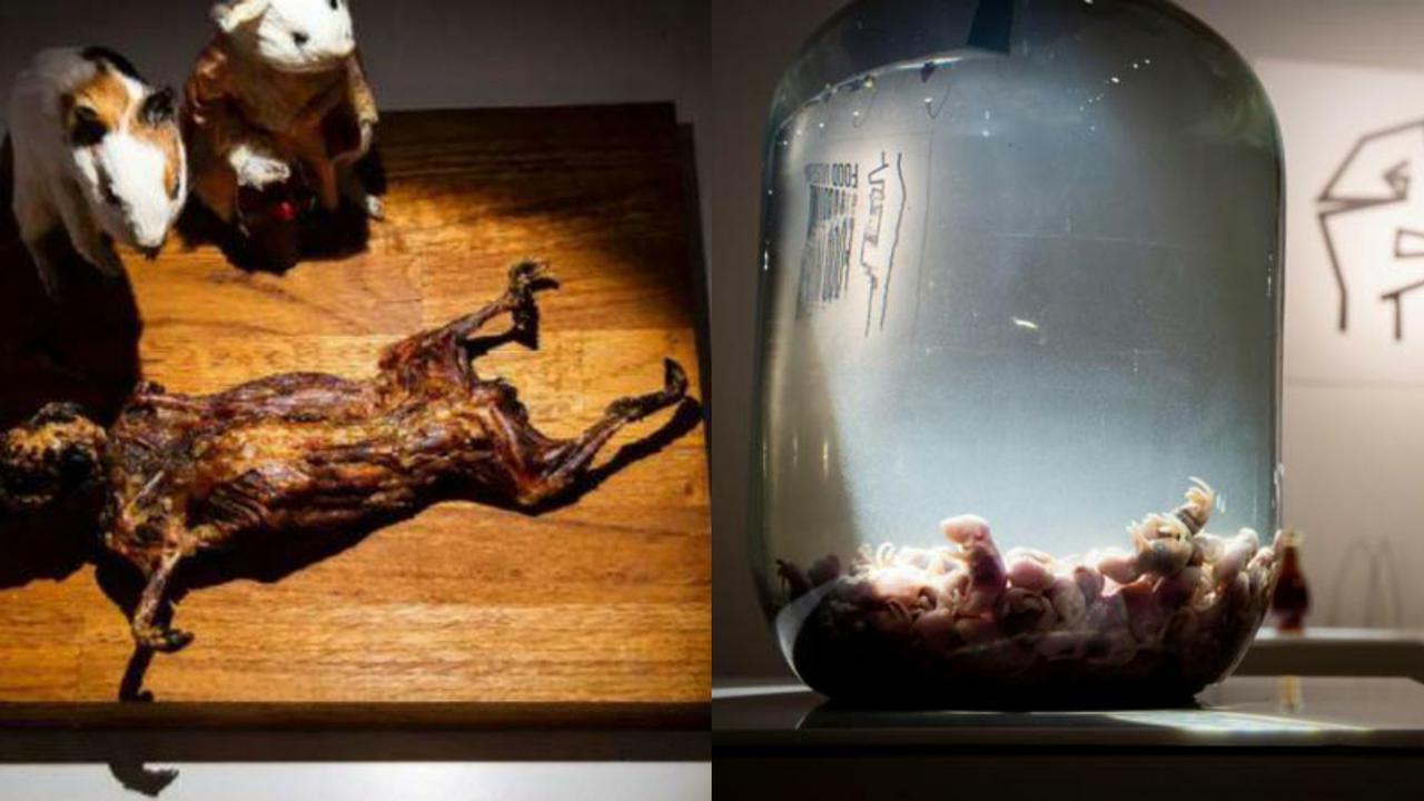 Museum Ini Abadikan Santapan Ekstrim, Berani Coba?