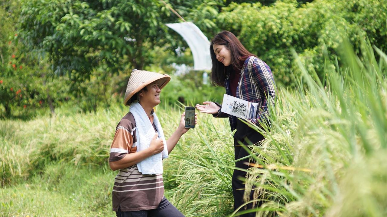 Pembiayaan KUR BRI Terbukti Dorong Kenaikan Omzet UMKM hingga Double Digit