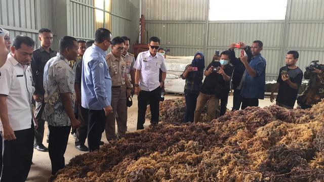 Menteri Kelautan dan Perikanan melepas ekspor 53 ton rumput laut kering dari Batam, Kepulauan Riau ke China.