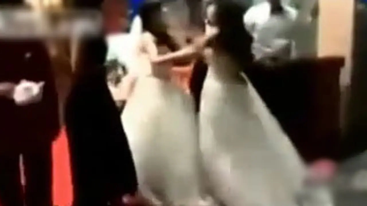 pengantin-bertengkar