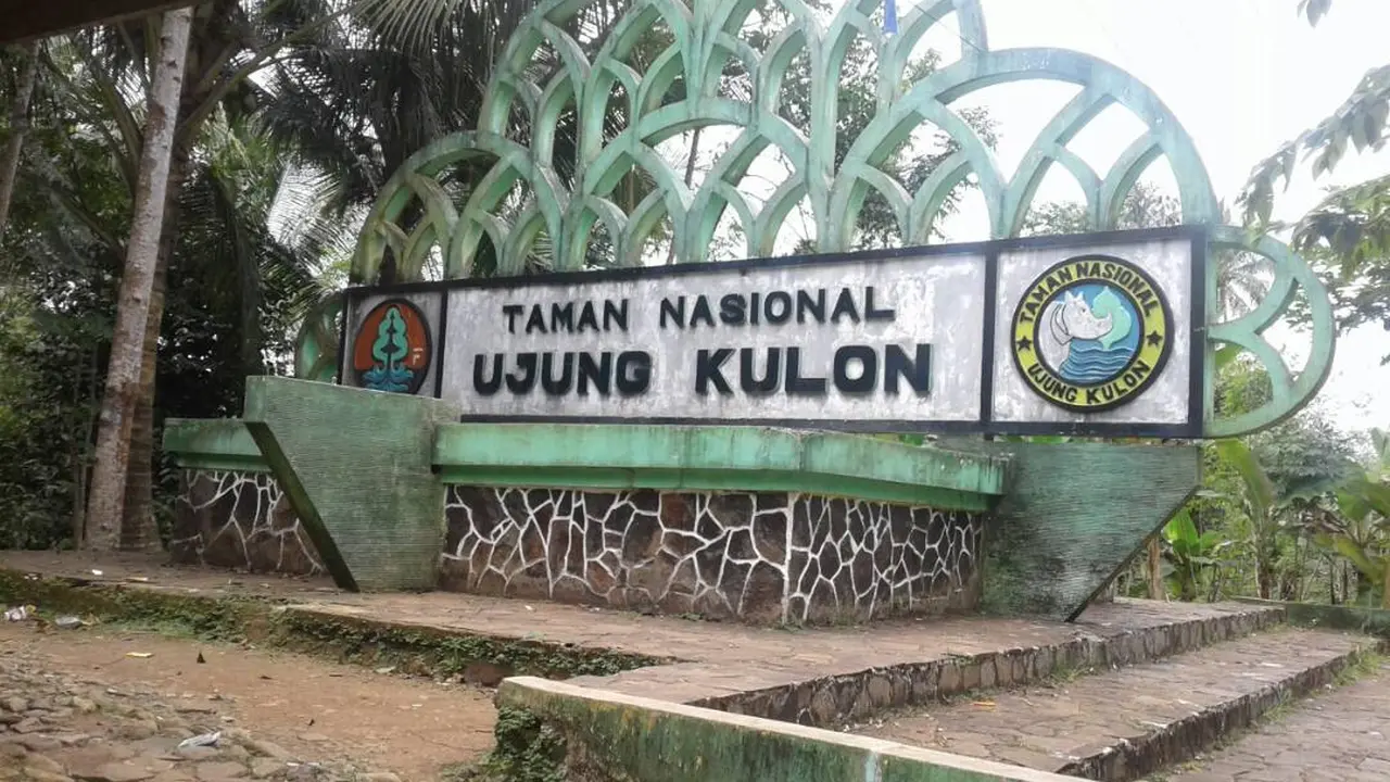 13 Pencuri Jerenang Tertangkap Masuki Taman Nasional Ujung Kulon
