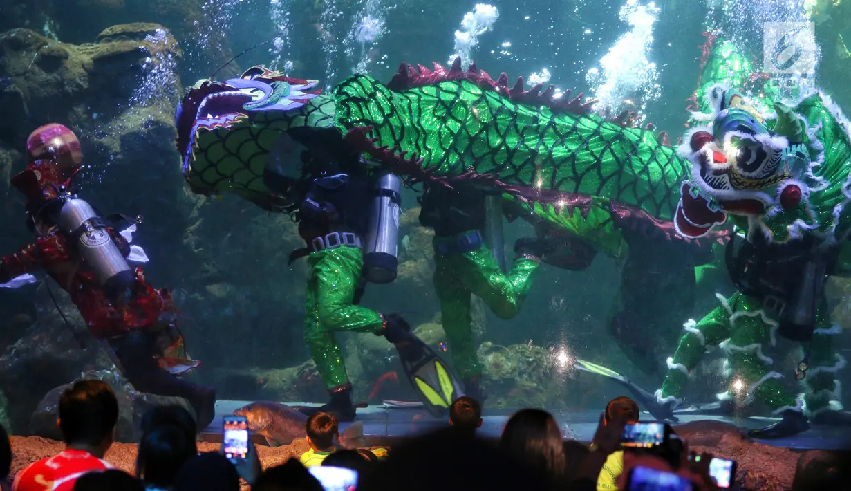 Pemain barongsai tampil di dalam air di Seaworld Ancol, Jakarta, Minggu (3/2). Pertunjukan dalam rangka memeriahkan Tahun Baru Imlek 2570 tersebut mengangkat tema "The Legend of 12 Shio" yang digelar hingga 5 Februari 2019. (Liputan6.com/Johan Tallo)