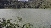 Danau Rana Mese berada di Desa Golo Loni, Kecamatan Rana Mese, Kabupaten Manggarai Timur, Nusa Tenggara Timur (NTT). (Liputan6.com/ Dionisius Wilibardus)