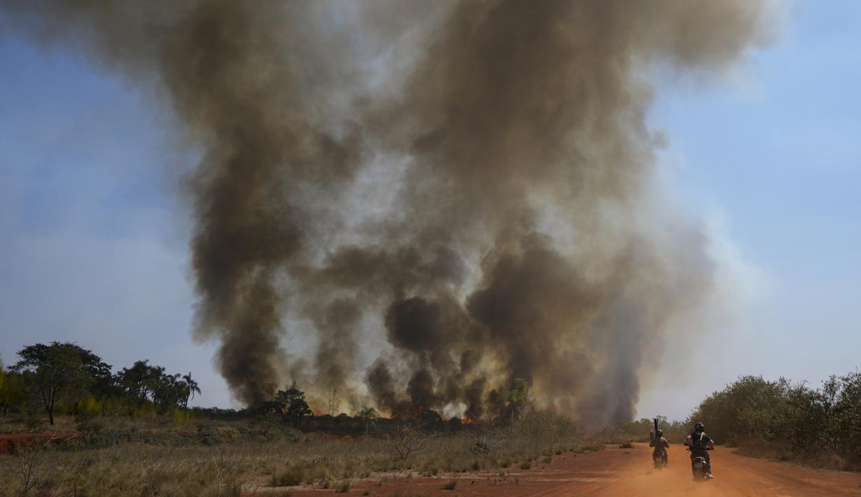 Kebakaran menghanguskan sebagian Taman Juquery di Franco da Rocha, wilayah Sao Paulo, Brasil, Senin (23/8/2021). Menurut Departemen Pemadam Kebakaran, kebakaran akibat sebuah balon udara panas kertas ilegal yang mendarat memicu dan menghancurkan lebih dari setengah dari taman. (AP/Andre Penner)