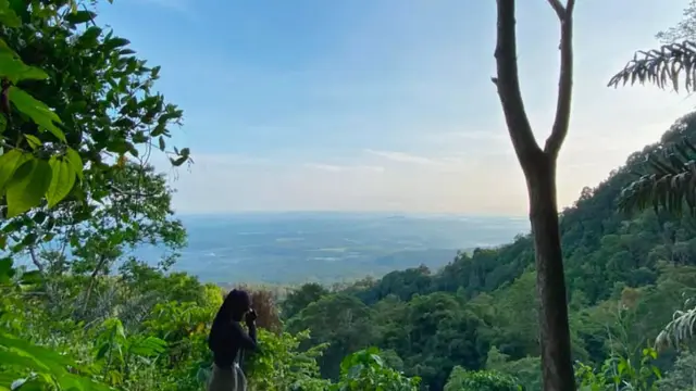 Pendakian ke Gunung Betung di Lampung