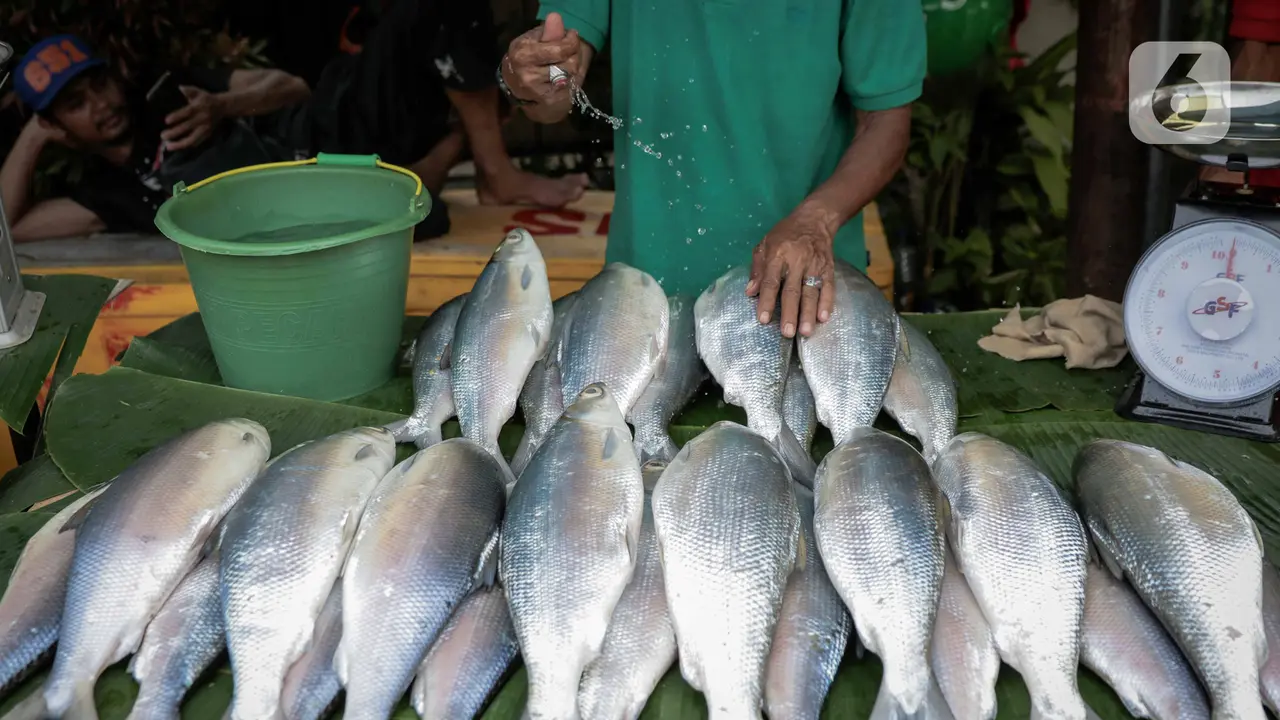 Jelang Imlek, Pedagang Bandeng Mulai Menjamur di Rawa Belong