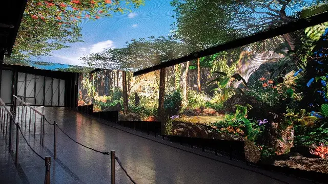 Kembali Beroperasi Setelah Renovasi Peak Tram Hong Kong Tawarkan Pengalaman Menakjubkan