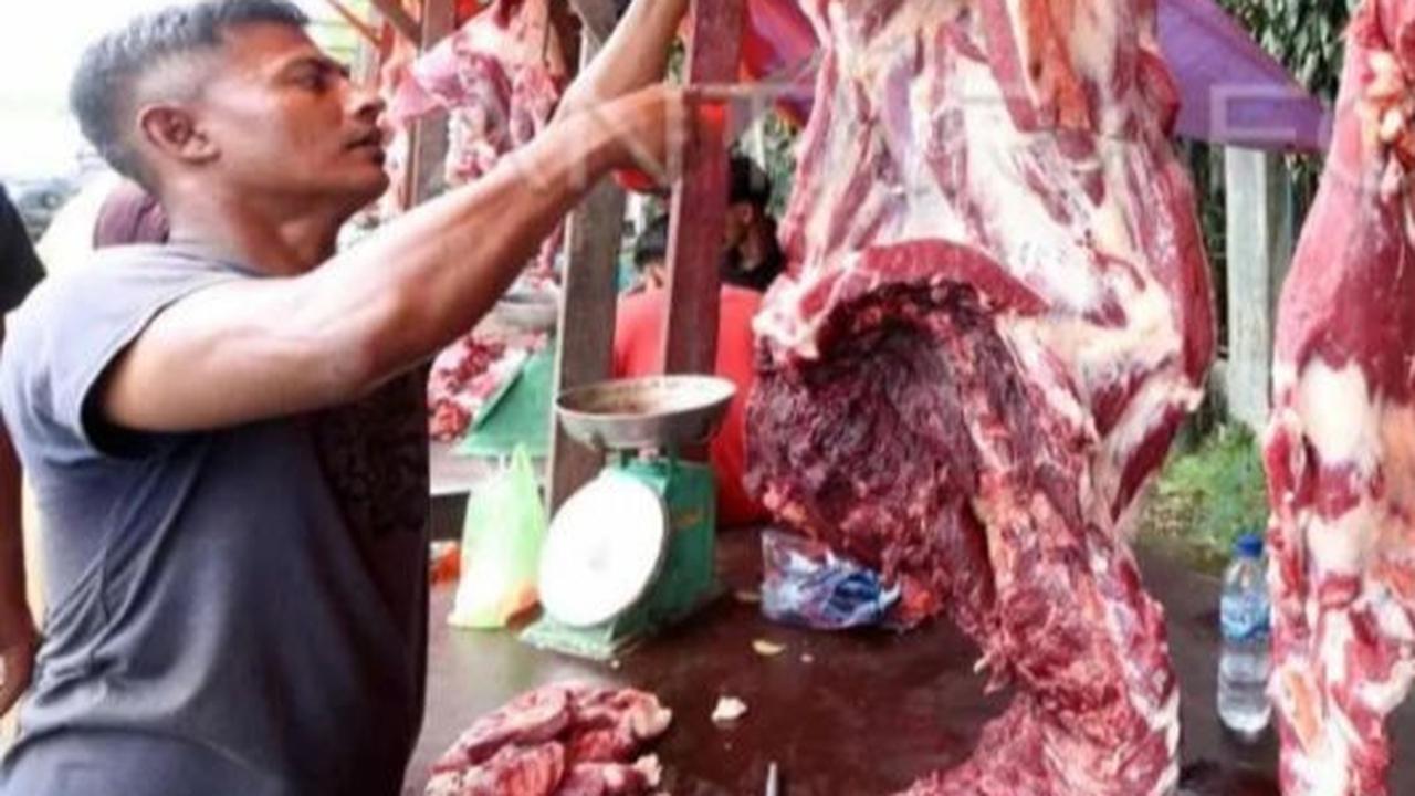 Penghapusan Kuota Impor: Solusi Percepat Pemenuhan Kebutuhan Daging Sapi di Indonesia?